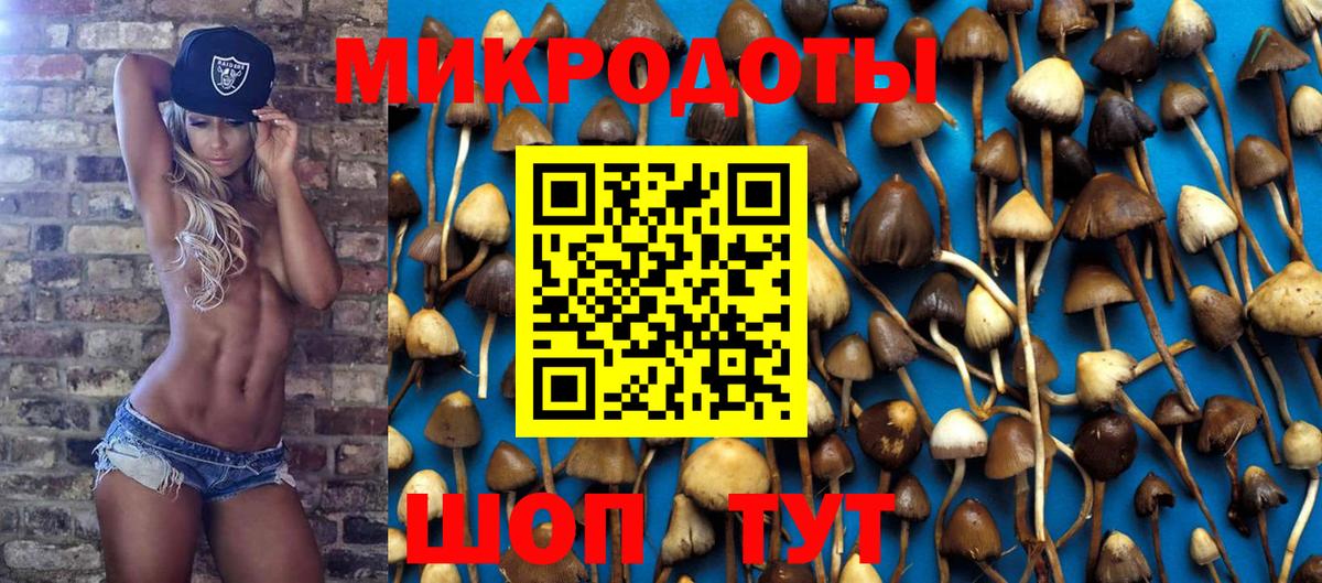 Рубцовск  Псилоцибиновые грибы ЛСД  как найти   Вход с VPN 